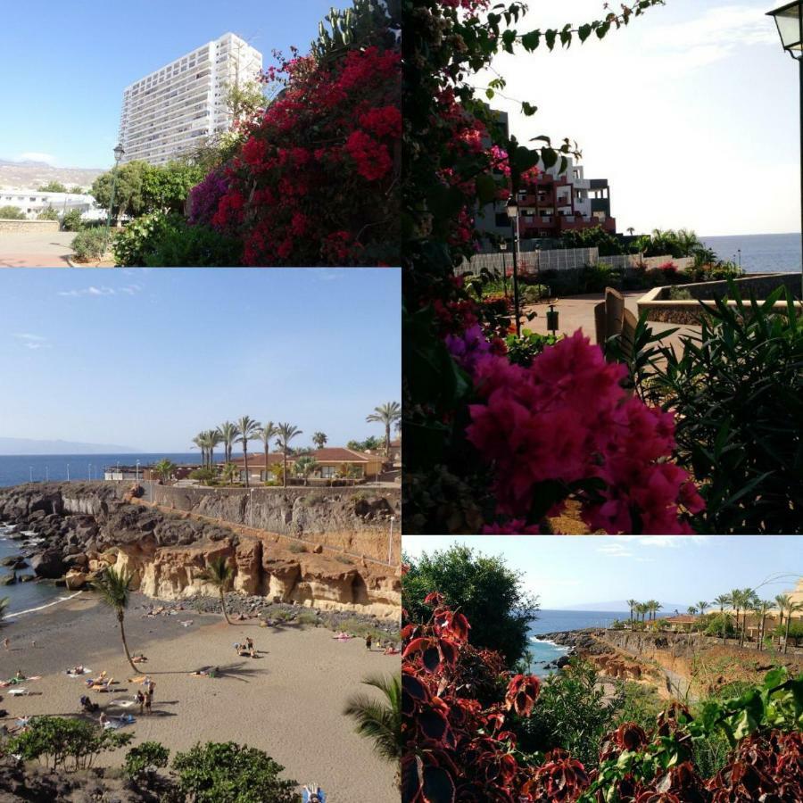 Elena Studio Costa Adeje  Luaran gambar